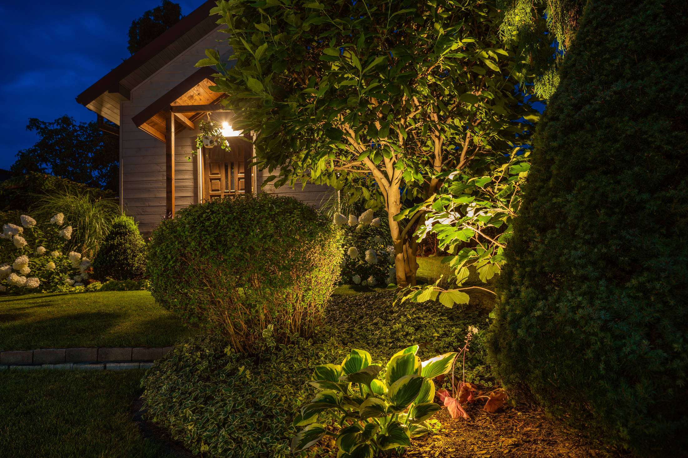 Illuminated Backyard Garden in the Evening